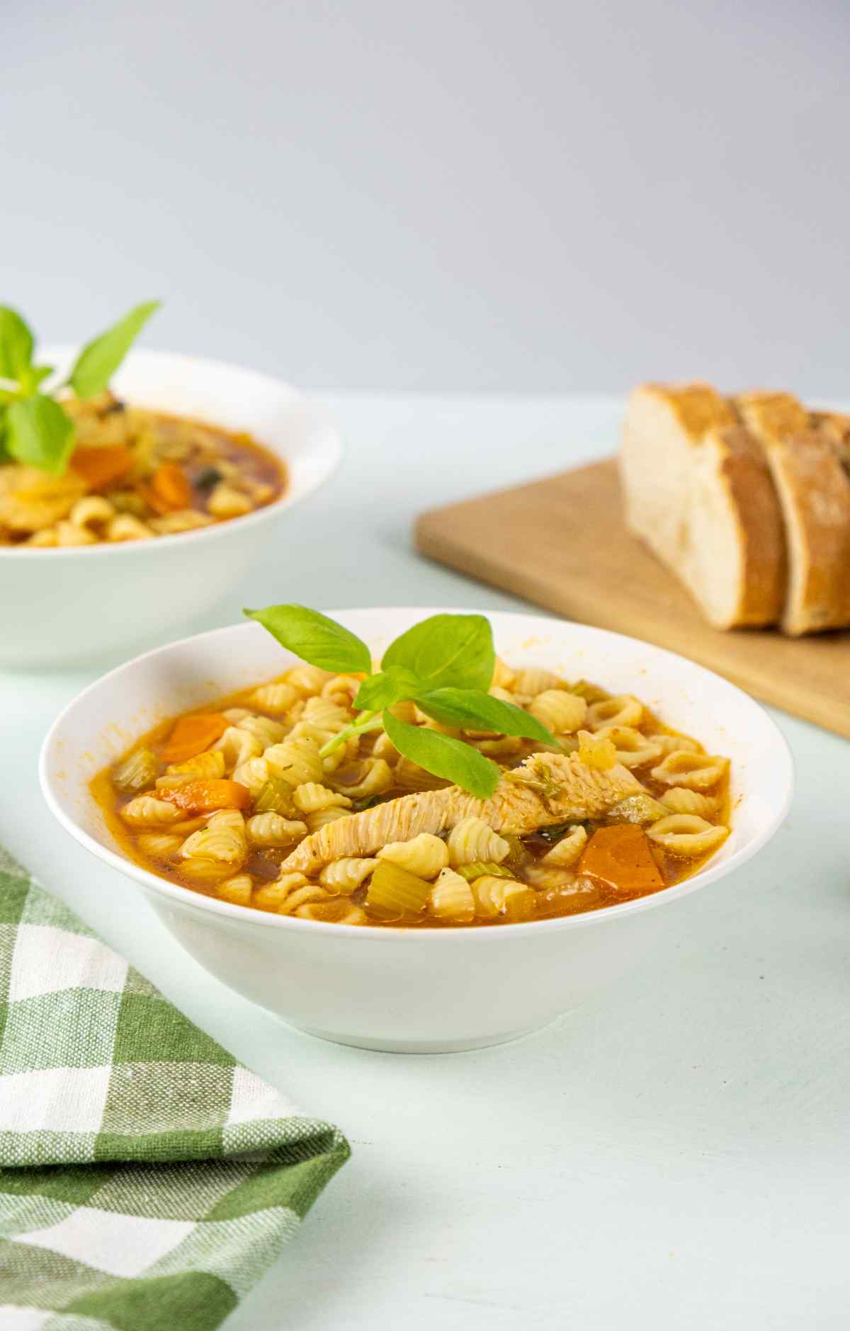 Chicken Vegetable Soup